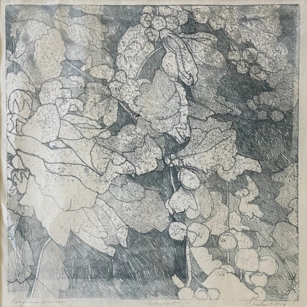 THIRD PLACE: California Hibiscus, Monoprint by Christine Long, 18in x 18in, $385