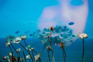 Flowers in the Ocean, Digital Collage by Kate Brogdon, 20in x 30in, $400 (November 2022)