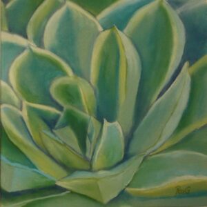 Succulent #3, Pastel by Roxana Genovese, 9in x 9in, $250 (November 2022)