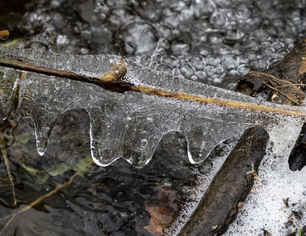 HONORABLE MENTION: After the Thaw, Photography by Linda Agar-Hendrix, 17inx 22in, $245 (Dec. 2022 - Jan. 2023)
