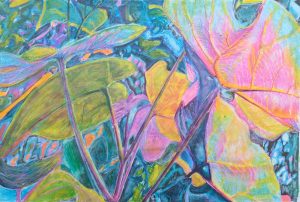 <a href="https://fccagallery.org/members-june-2026-rivers/">June 2026: Susan Rivers</a>